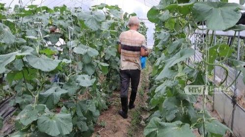 杭州网红打架吃瓜,网络热传的“吃瓜”瞬间 第2张 杭州网红打架吃瓜,网络热传的“吃瓜”瞬间 第2张